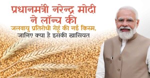 प्रधानमंत्री नरेन्द्र मोदी ने लॉन्च की जलवायु प्रतिरोधी गेहूं की नई किस्म, जानिए क्या है इसकी खासियत